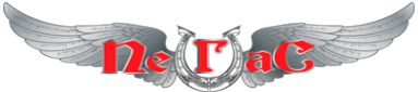 Логотип компании ПеГаС